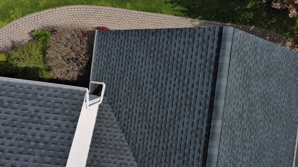 Best Skylight Installation and Repair  in Trenton, FL
