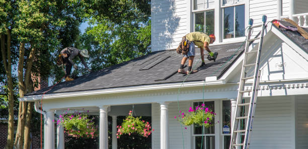 Best Gutter Installation and Repair  in Trenton, FL